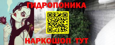 МДПВ Можга